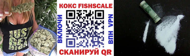 купить закладку Саянск Кокаин FishScale