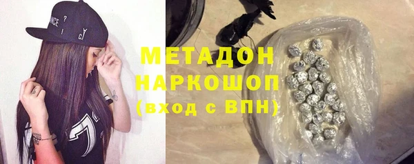 индика Нея