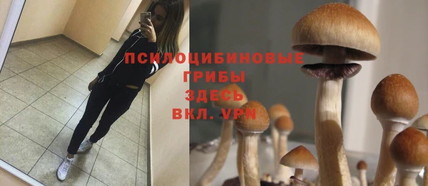 ПСИЛОЦИБИНОВЫЕ ГРИБЫ Нефтегорск