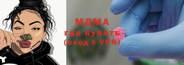 шишки Новодвинск