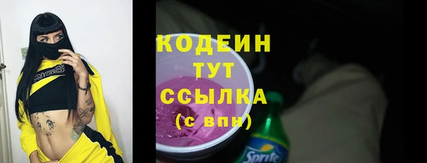 индика Нея