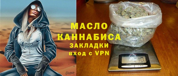 шишки Новодвинск