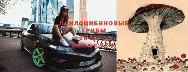 мяу мяу мука Зеленодольск