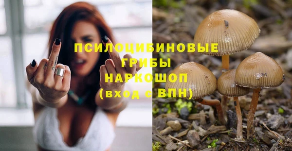 индика Нея