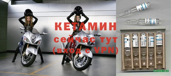 индика Нея