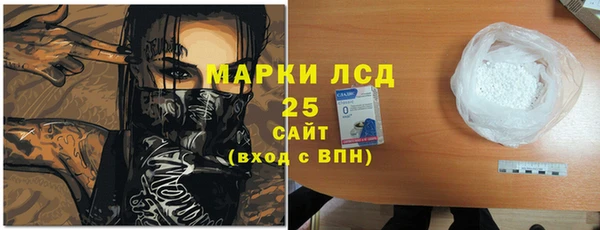 индика Нея