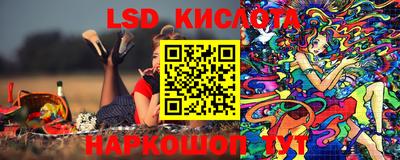 прущие грибы Канаш
