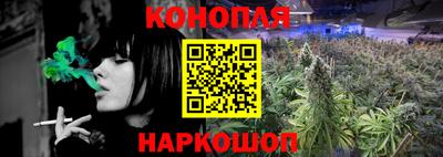 прущие грибы Канаш