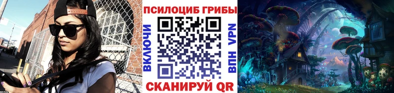 как найти закладки  Саянск  Псилоцибиновые грибы Psilocybine cubensis 